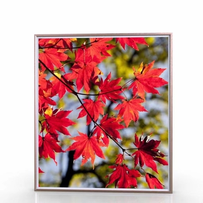 Pagina LCD a 43 pollici della foto di Android del contrassegno della cornice di Digital della nuvola di Wifi
